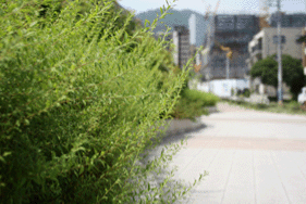 絞り値F2.8